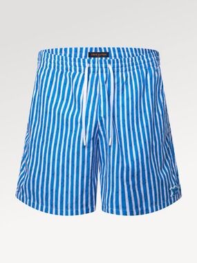 Louis Vuitton Monogram Striped Swim Shorts